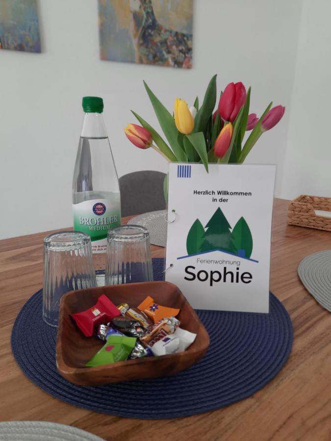 Ferienwohnung Sophie - Perfekt Mit Kind Und Kegel Eitelborn Екстериор снимка